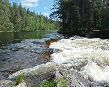 Кандалакшский и Терский берега Белого моря