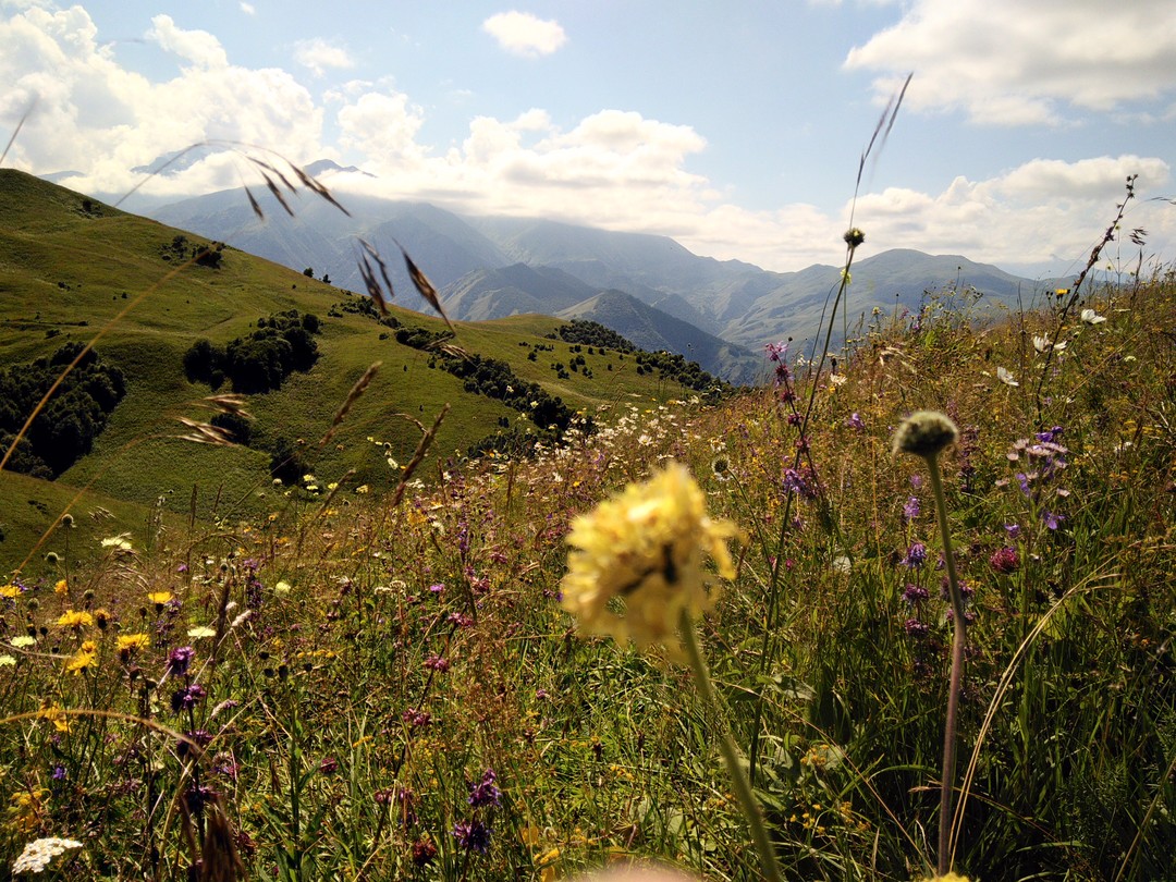 Всем доброго дня)). Денис, приветствую!