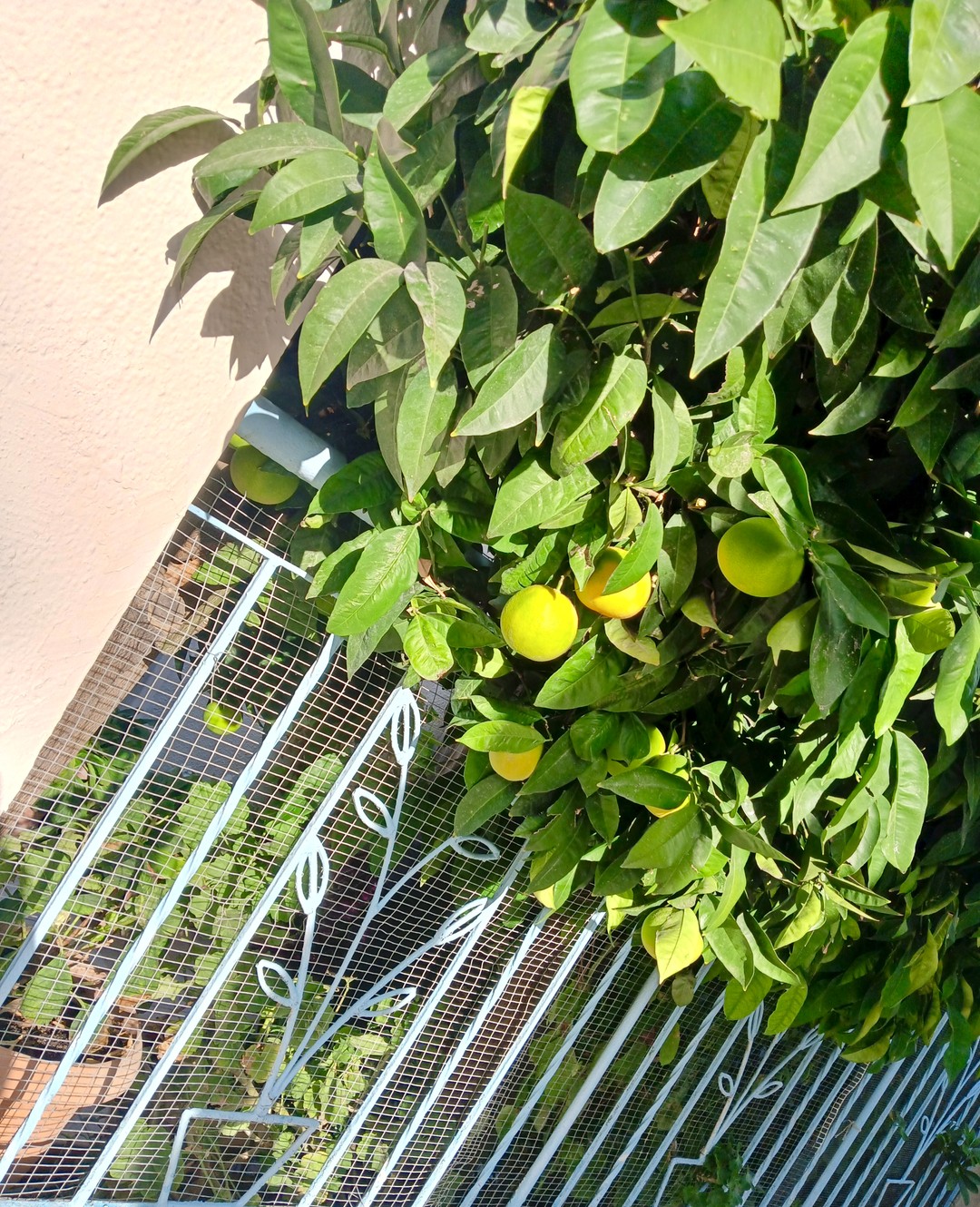 Прекрасно провели время, очень интересная экскурсия. Дегустации, местная кухня, прогулка по Кипрской деревушке - всё было