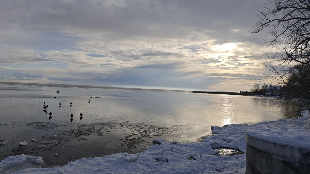 Отлично провели день. Савва рассказал много интересных историй о жизни обитателей косы. По дороге встретили лису и кабан перебежал нам дорогу!