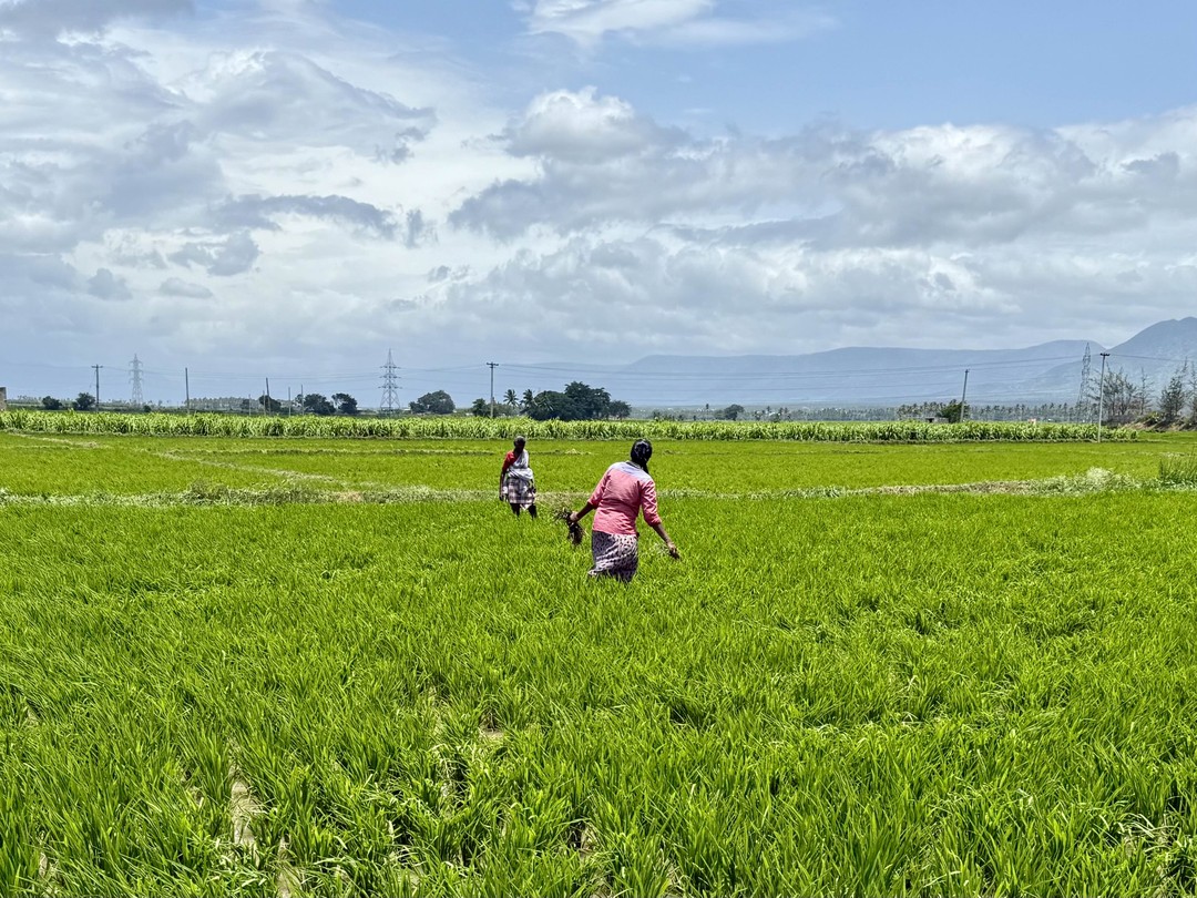 Старт был в городе Ченнай, закончили в Кочине. 8 дней полного драйва! Яркое, красочное и незабываемое