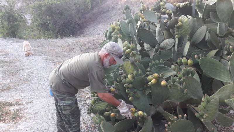Колоритный Кипр: поездка по горным деревушкам