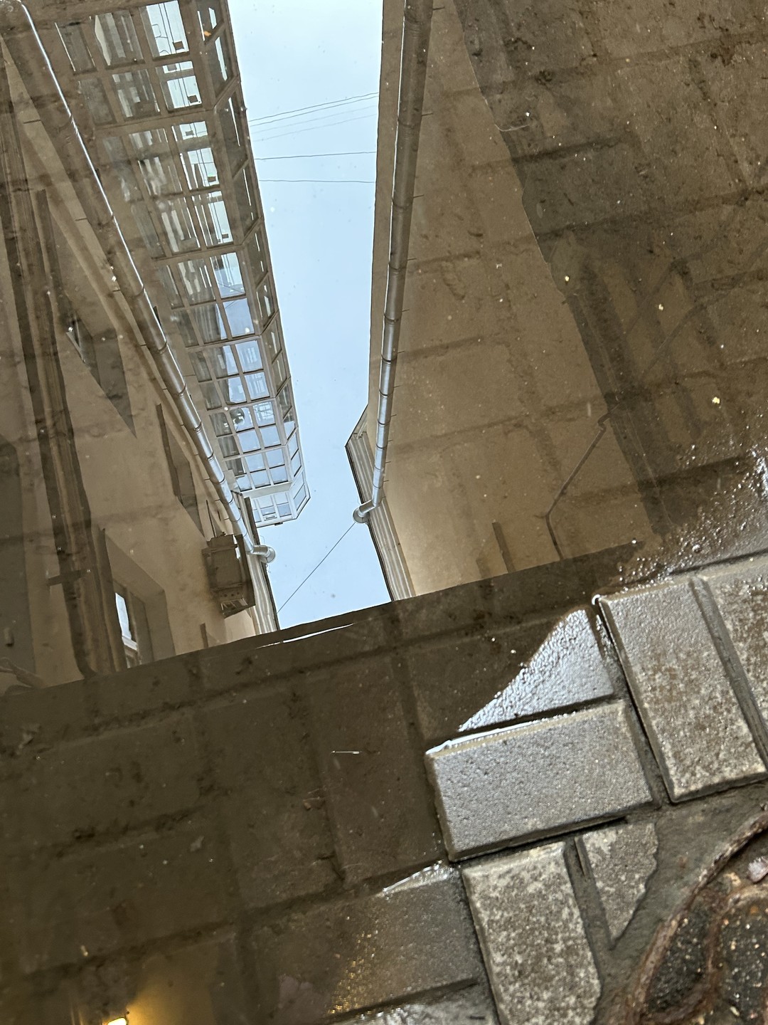 По Литейной части Петербурга - с фланёром (Терехина)