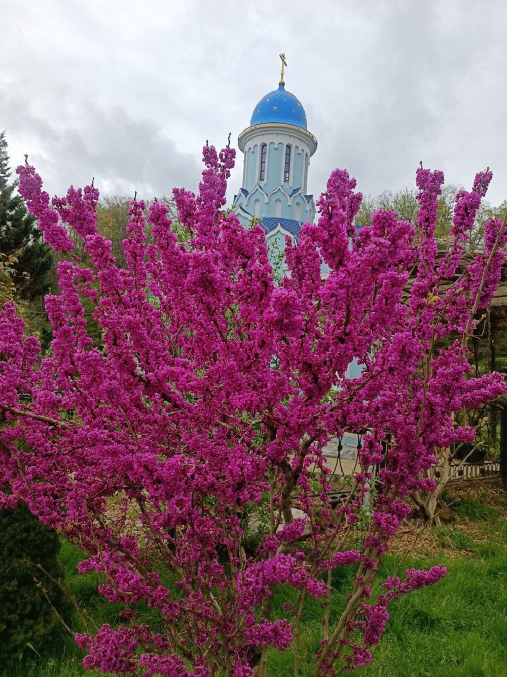 Православный Сочи (4/8)