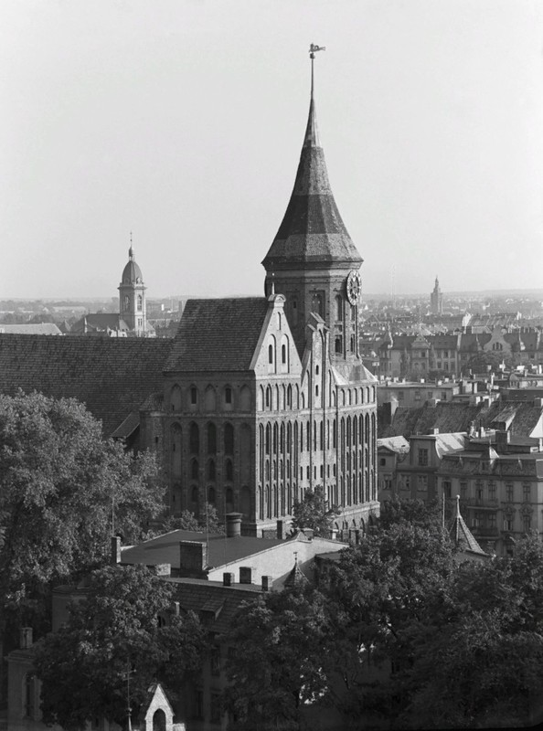 Аудиогид Трипстера: обзорная прогулка по Калининграду