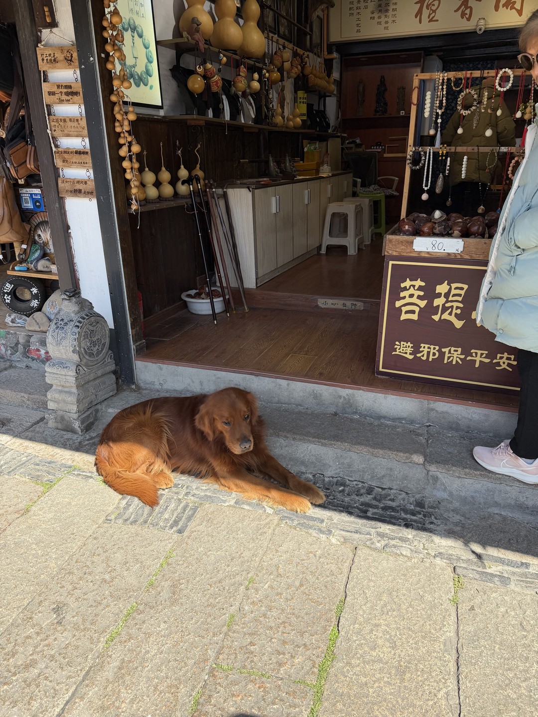 Чжуцзяцзяо - шанхайская Венеция (Ксения)