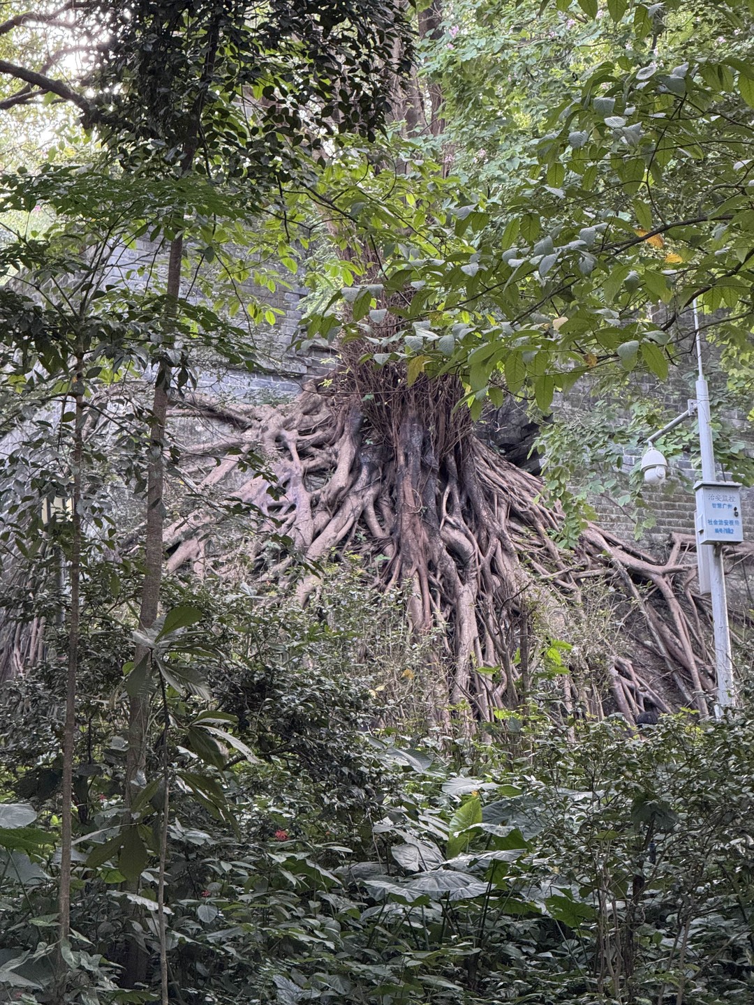 Это был отличный экспириенс! Идеальный выбор локаций, перемещение, и главное сам рассказ! Вячеслав знает как все