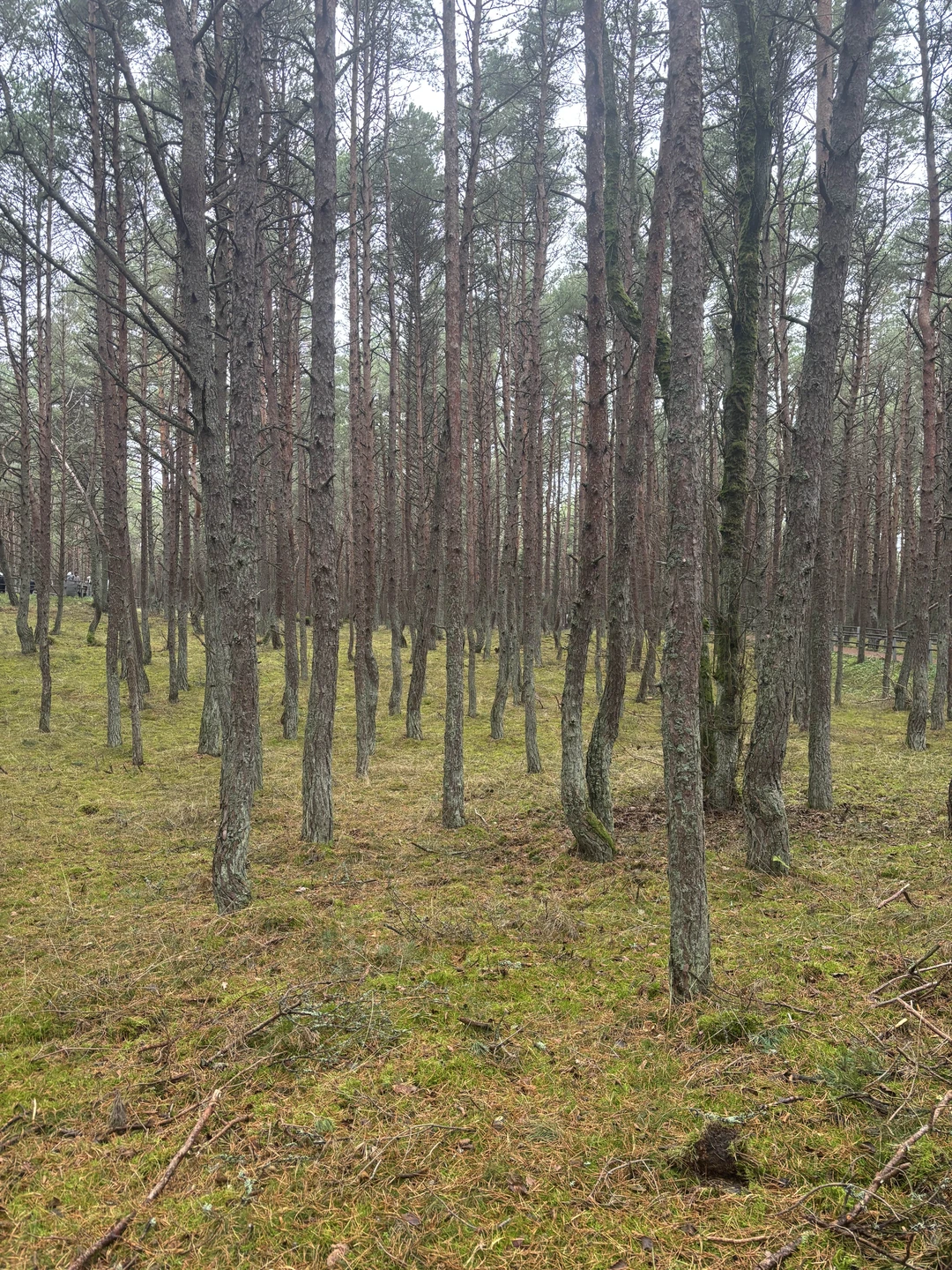 Спасибо за экскурсию. Все понравилось: маршрут, информация, остановки, природа. Однозначно, рекомендую!