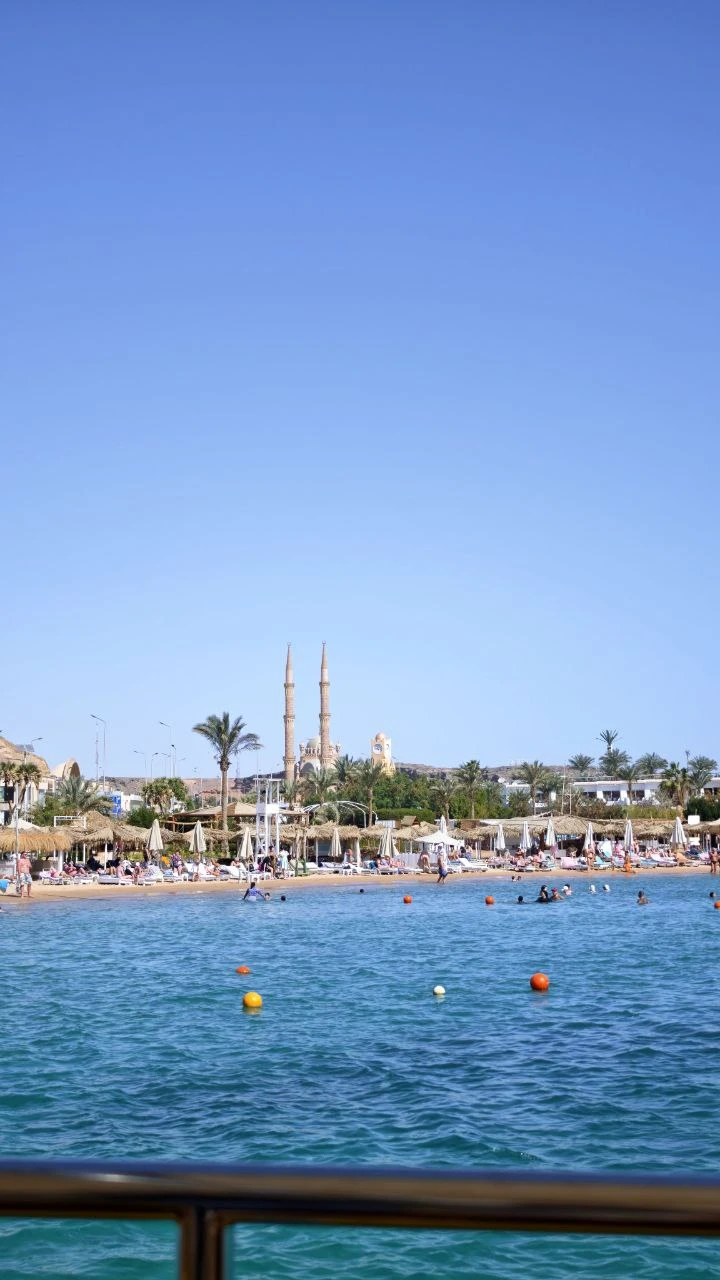 Очень удобный индивидуальный трансфер из отеля - прислали фото машины и были на связи пока мы