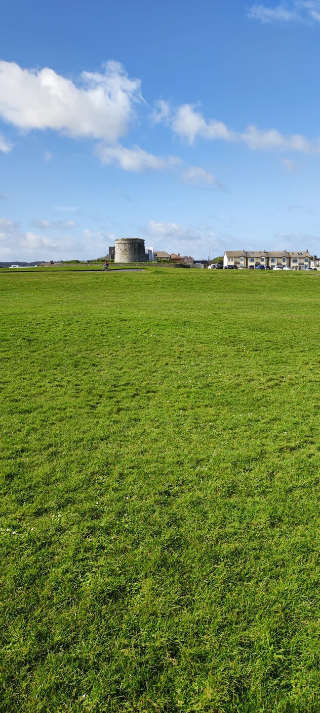 Всё было очень интересно. Удивительные развалины старинных замков, очаровательное побережье, получилось полюбоваться тюленем. Очень вкусный и