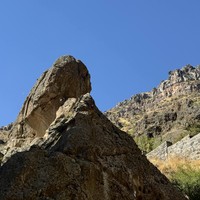 reviews img