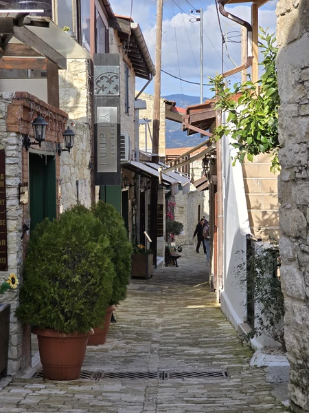 Все было замечательно! Остались очень довольны) Экскурсия прошла в удобном для нас темпе, с учётом всех