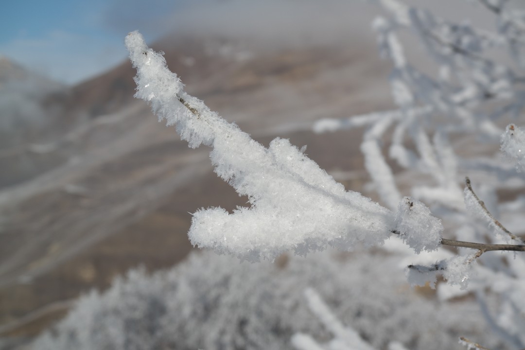 Хочу выразить огромнейшую благодарность Водителю (Гиду) Григорию. Аккуратное вождение, знание и рассказ истории Осетии. Очень интересно