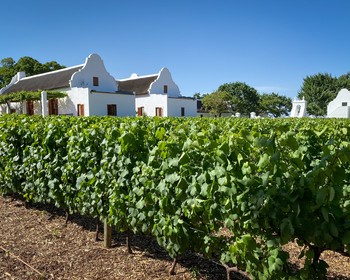 Винный день