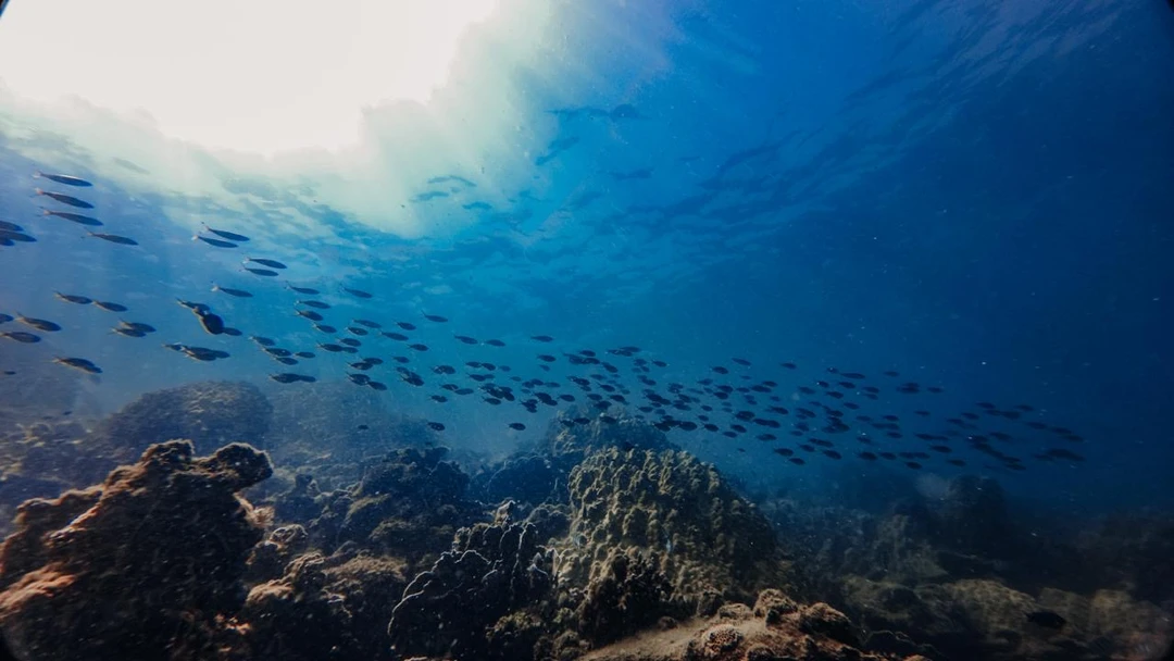 Евгений мастер своего дела, инструктаж был доведен с юмором, что безусловно помогло создать дружескую приятную атмосферу