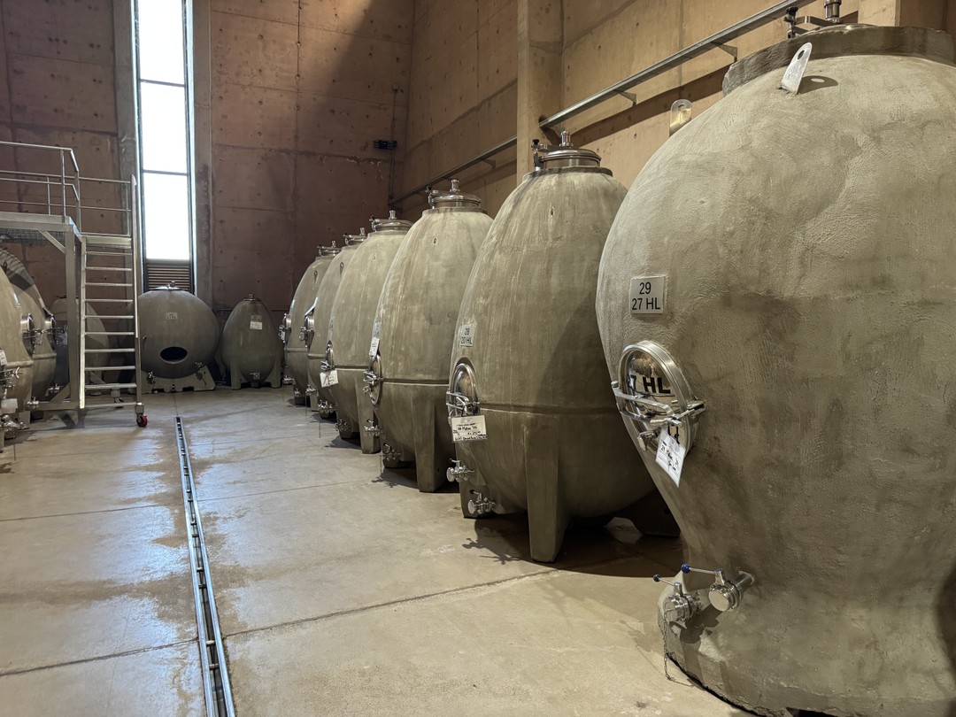 Прекрасная, очень легкая и тем не менее насыщенная экскурсия от знатока своего дела! Две разные и