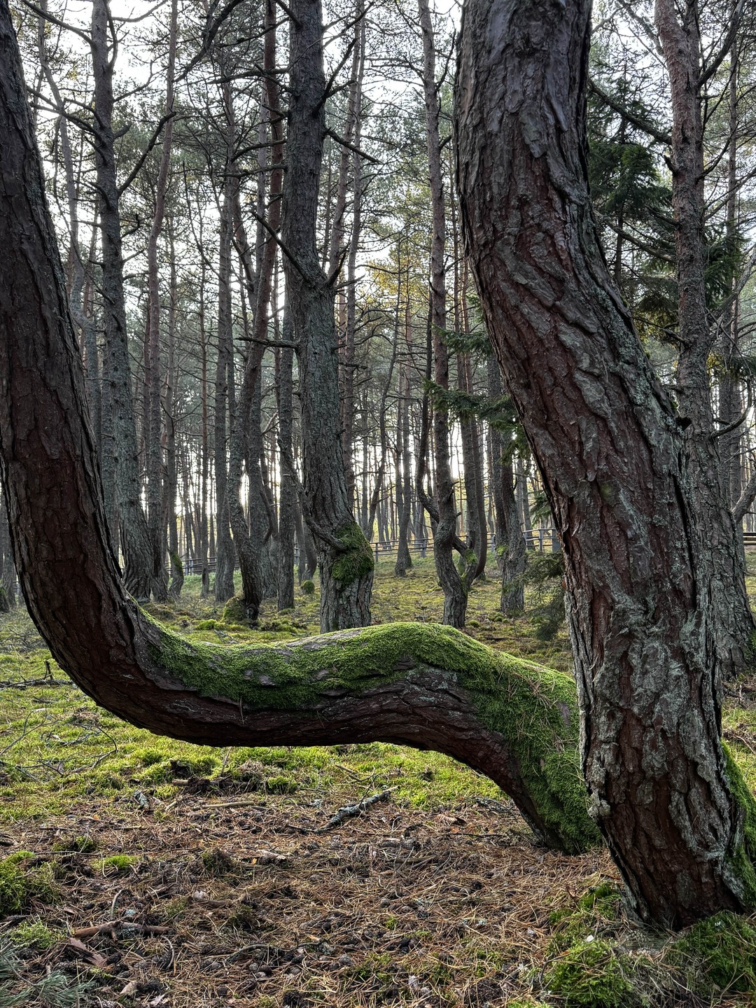 Это пожалуй лучшая экскурсия за последние пол года. Материал интересный, экскурсовод знает материал, умеет заинтересовать, знает