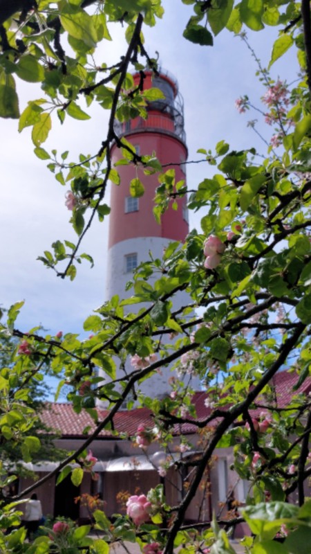 Балтийск с мэром - на групповой экскурсии