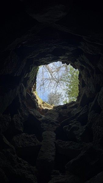 Экскурсия оставила невероятные впечатления! Мы посетили живописные места, где история оживает на каждом шагу. Спасибо Алексею