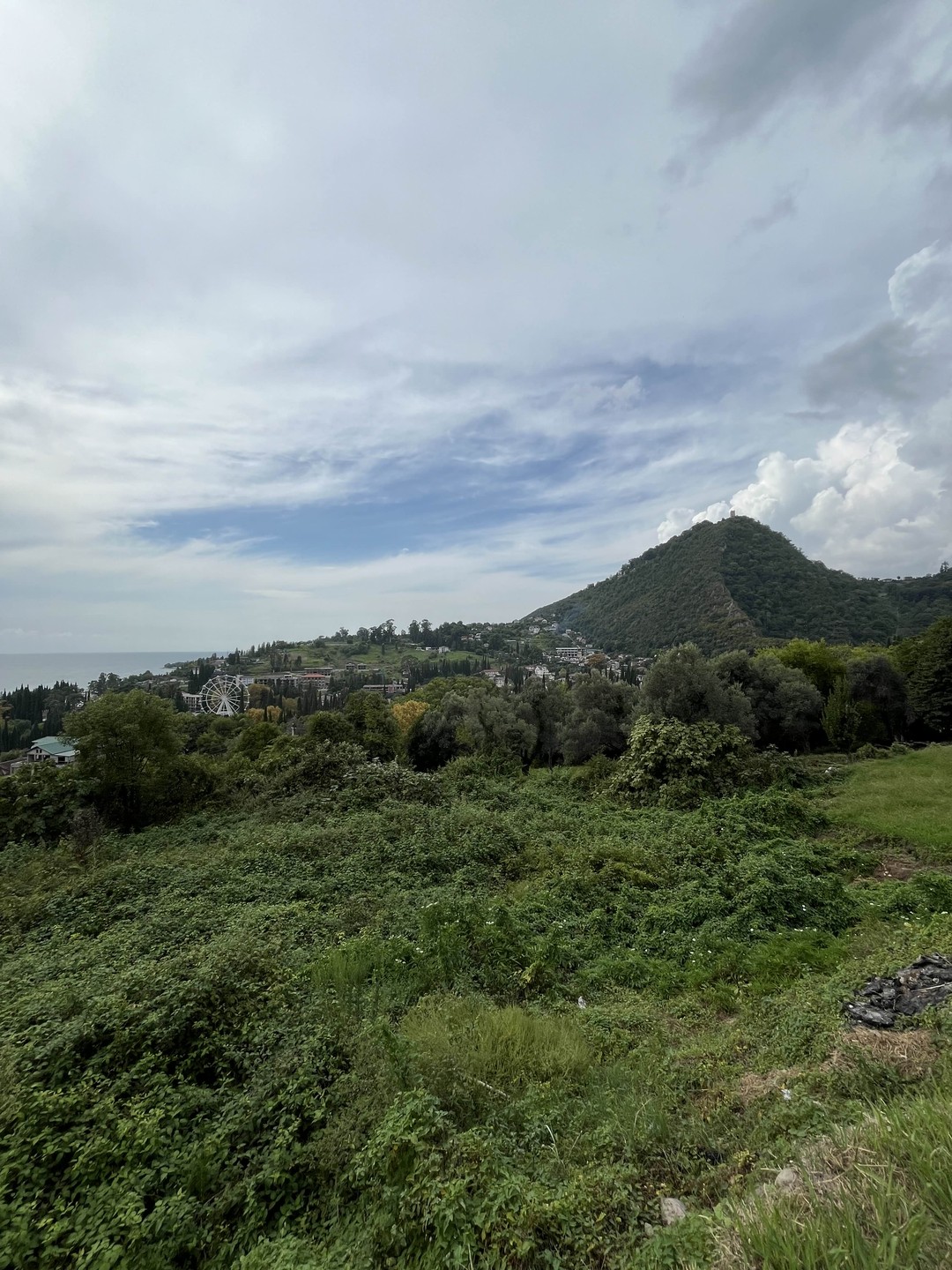 Гагра, Рица, Новый Афон и мандариновый сад: групповая поездка из Адлера (Мария)