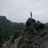 reviews img