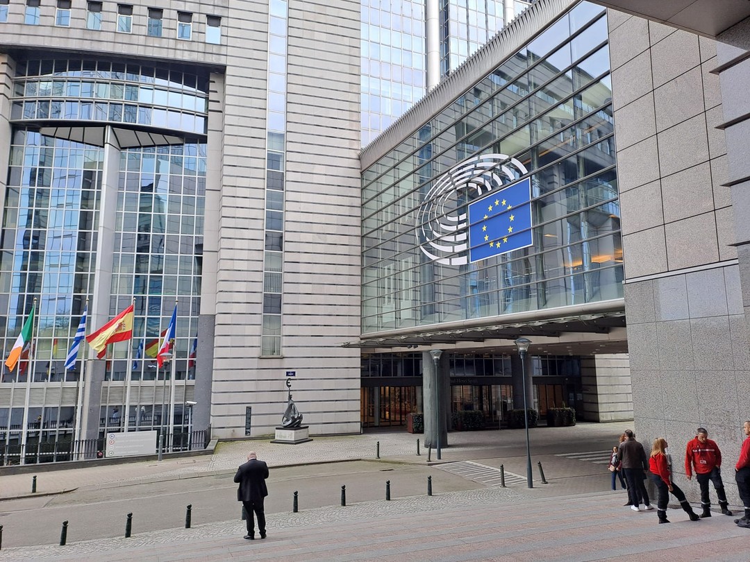 Свидание с Брюсселем каждый день (Svetlana)