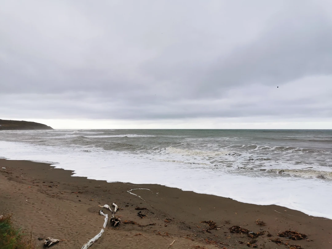 Маршрут был очень продуман, пикник на западном побережье был прекрасным, и мы пошли туда, куда хотели