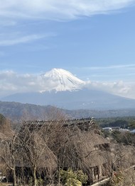 Фото отзыва 5: экскурсия "Фудзи — символ Японии"