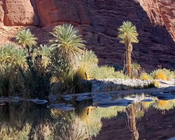 Аль-Дисах - аравийский Гранд-каньон