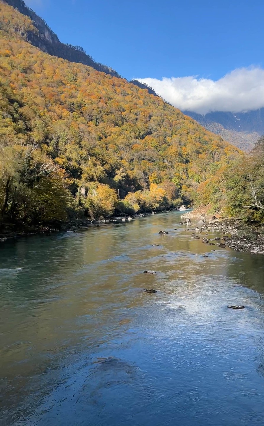 Мы посетили экскурсию гастро тур по Абхазии)сказать,что нам понравилось,ни сказать ничего,нас было двое взрослых и ребенок