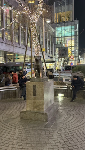 Сергей сделал наш первый день в Токио незабываемым! Очень рекомендуем всем, кто хочет не просто посмотреть, а прочувствовать страну!