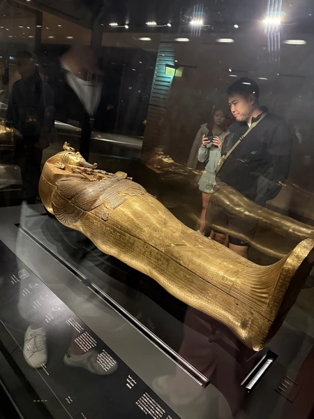 Отличный экскурсовод, за нами приехал водитель в 2.10, в 8.00 мы уже входили в музей. По