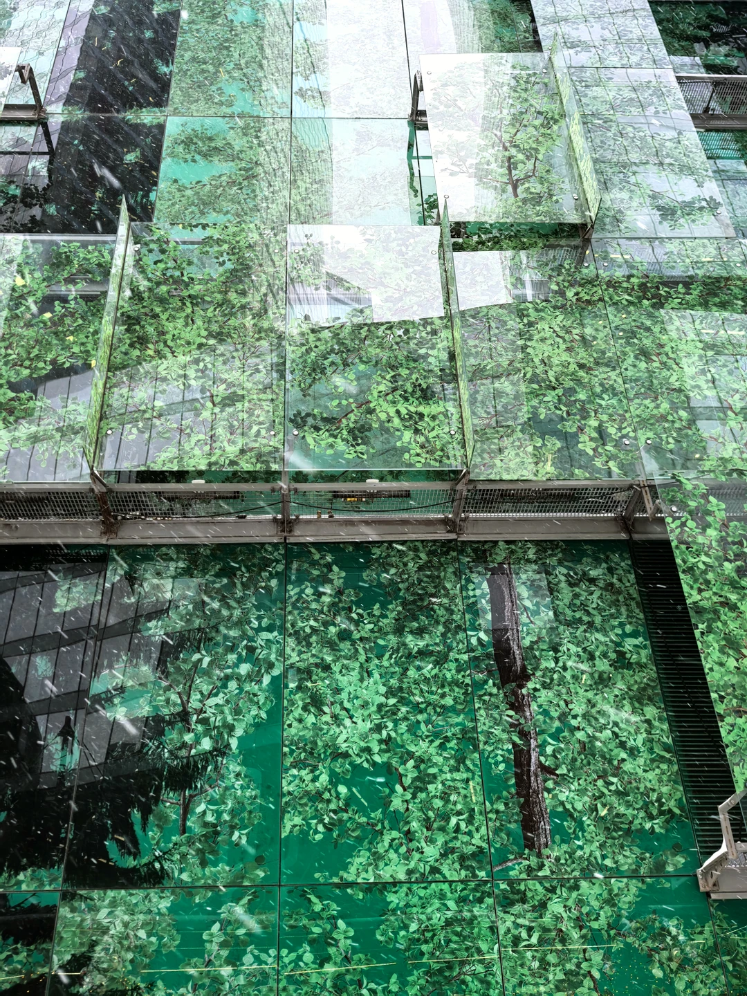 «Москва-Сити» со всех сторон (Светлана)