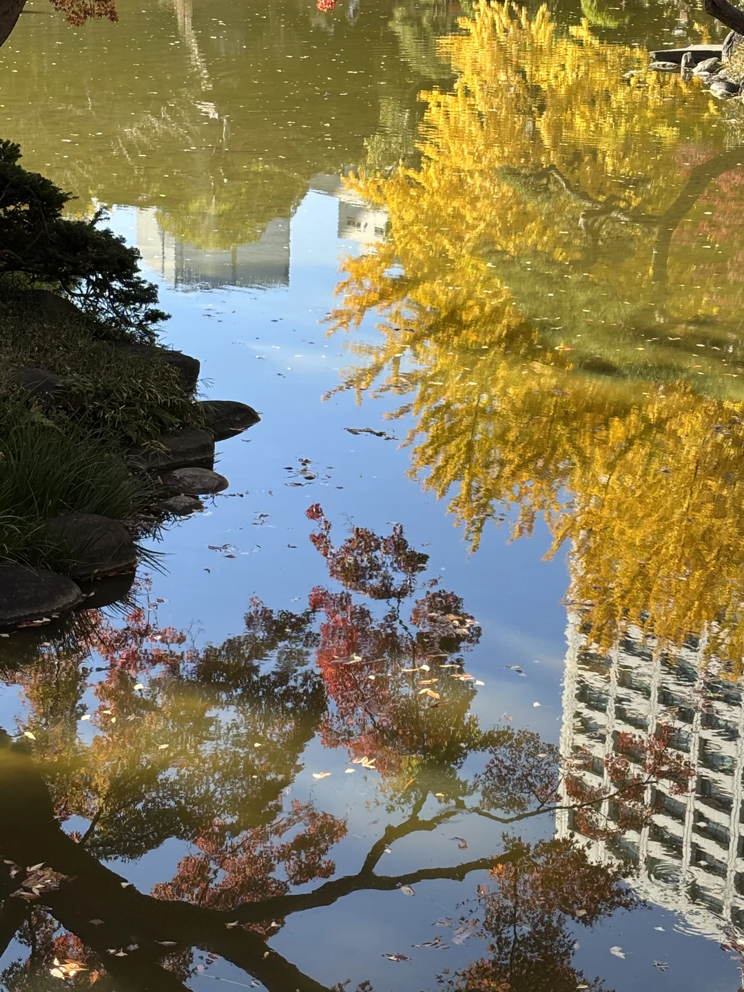 С удовольствием побывали на экскурсии с Аэлитой. Нам понравилась идея велосипедной прогулки по Токио. Самостоятельно мы