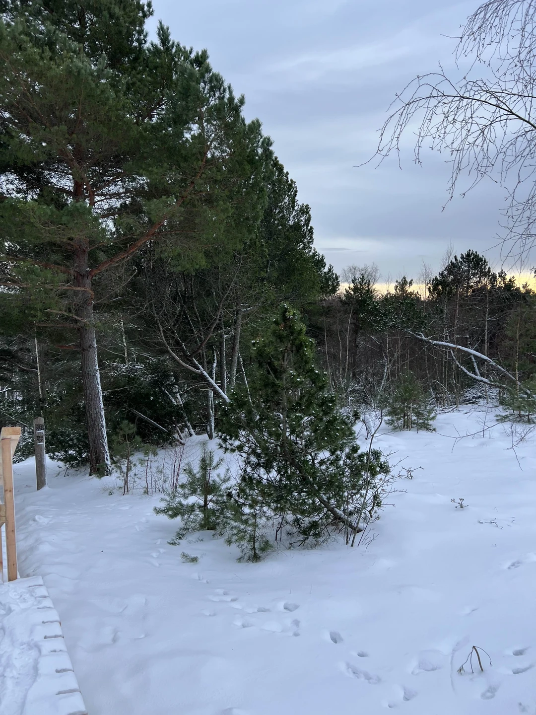 Очень понравилась экскурсия, несмотря на то, что есть пеший маршрут - совершенно не напряжная для всех