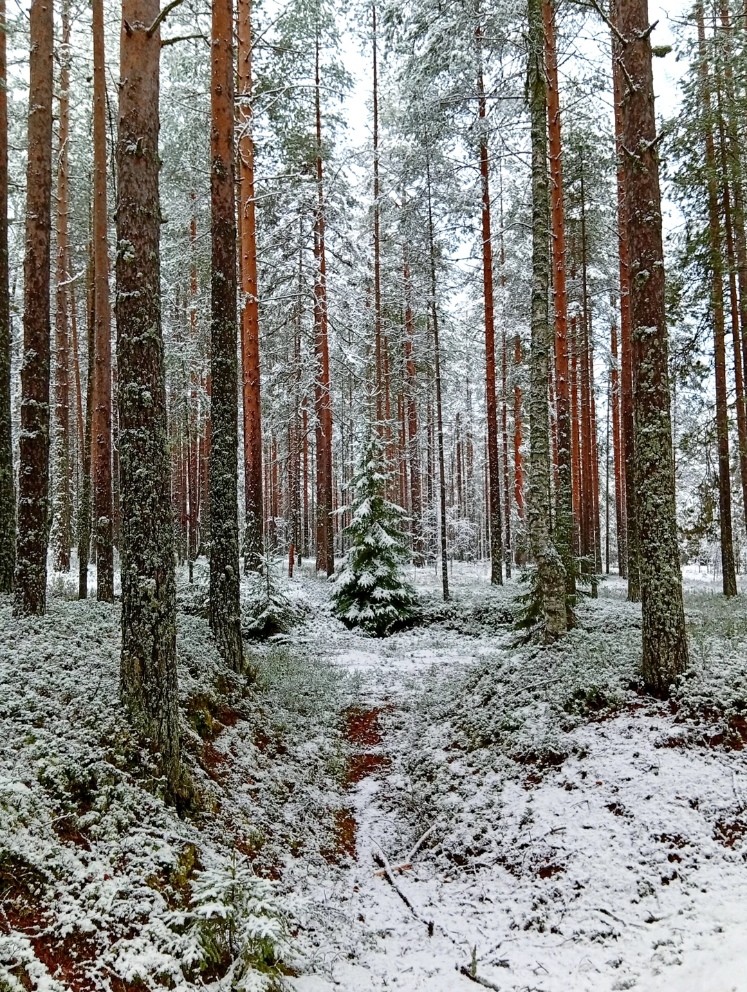Экскурсия очень понравилась! Нашим гидом был Никита - великолепно рассказывает! Очень интересно, с юмором там где