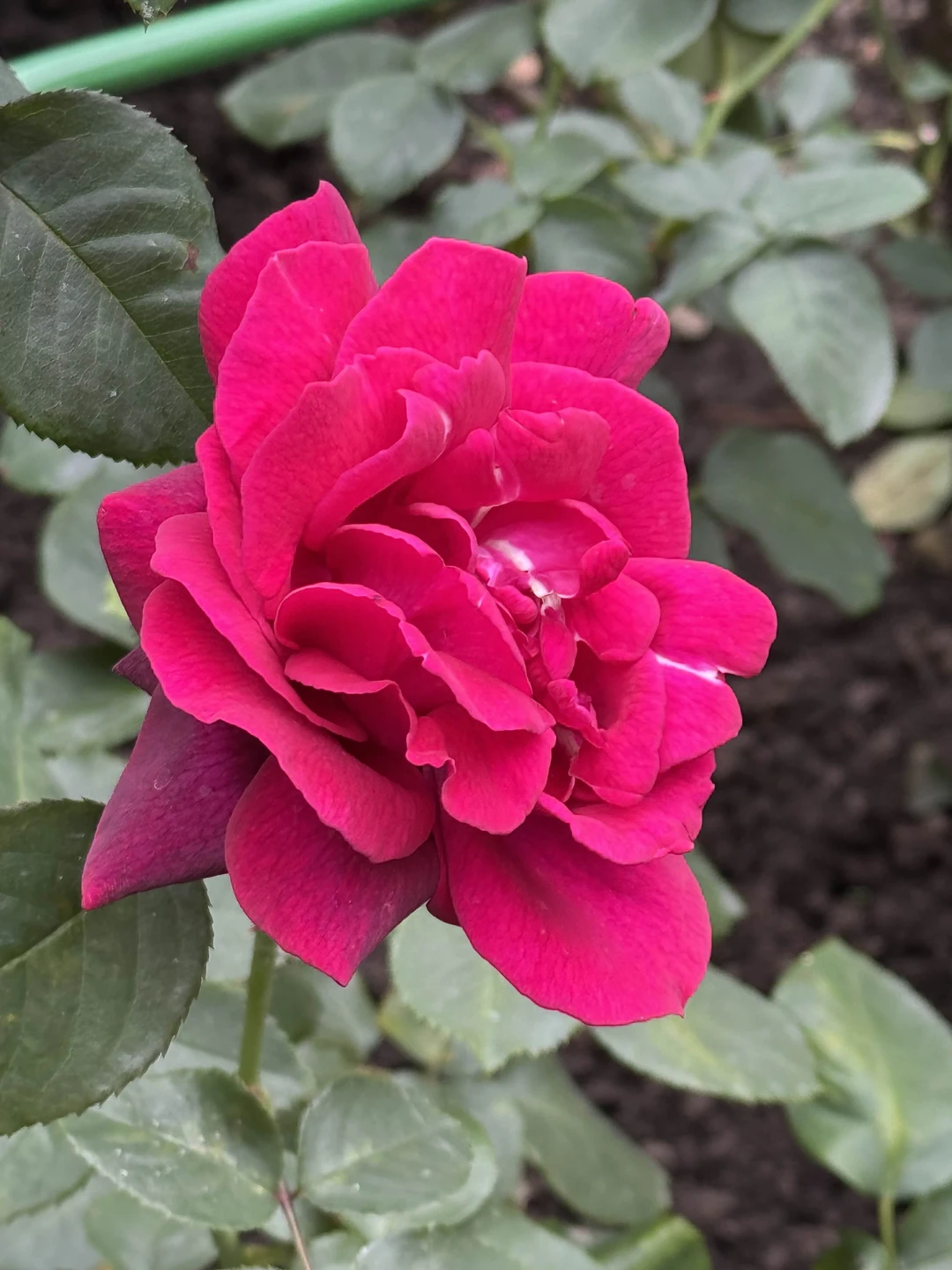 Из Пскова - в Себеж с посещением усадьбы «Ореховно» (в группе) (Татьяна)