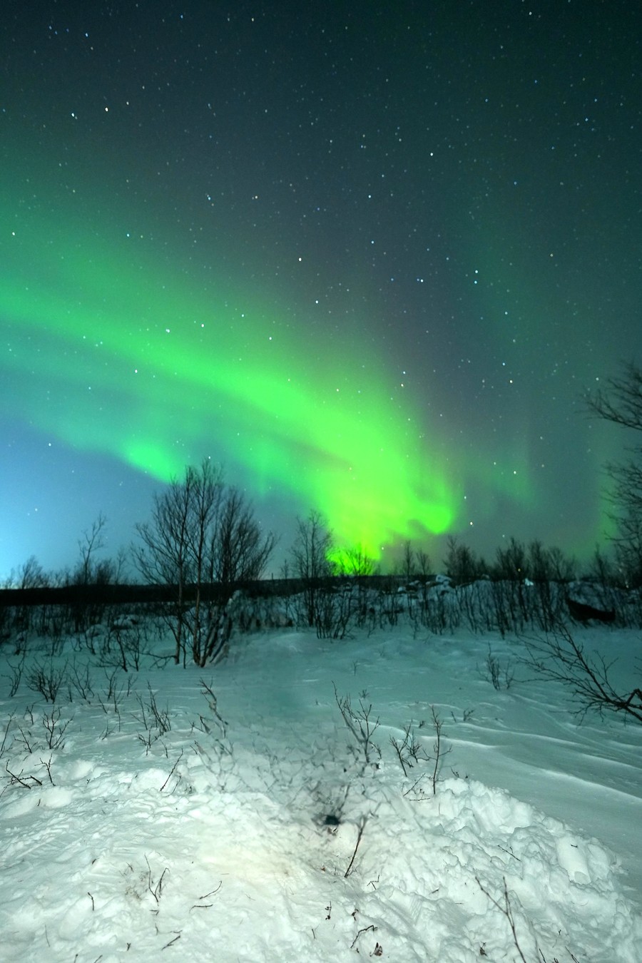 Аврора — чудо Арктики (2/10)