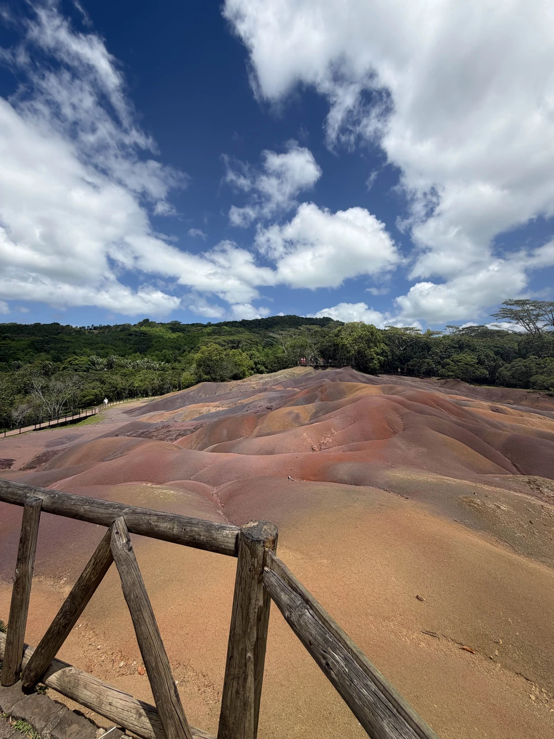 Ольга провела нам увлекательную экскурсию! Чувствуется, что она влюблена в остров и хочет передать частичку своих