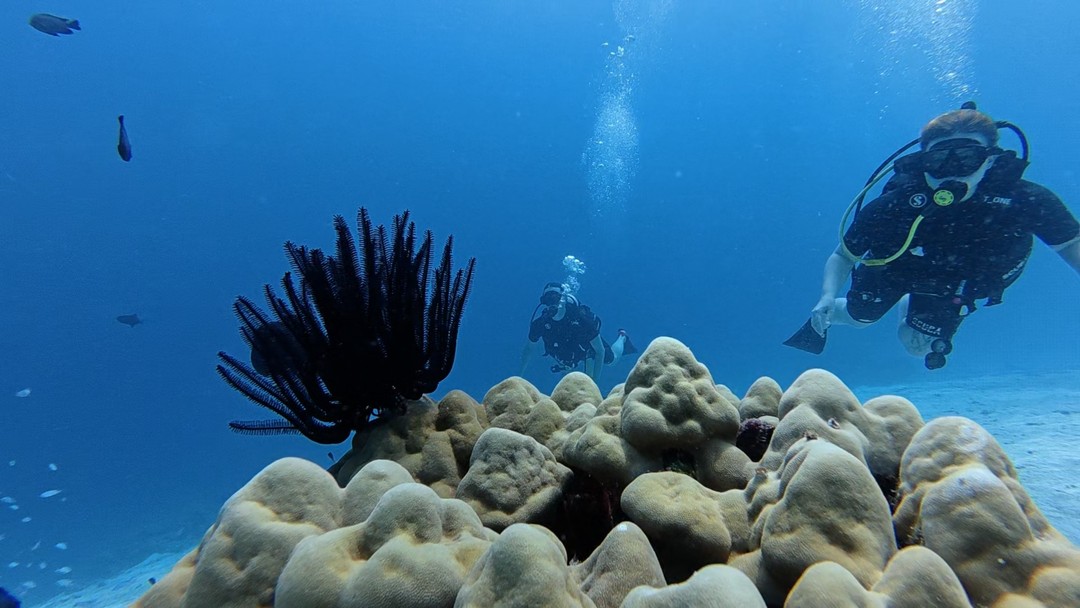 Огромная благодарность за первый опыт погружения! Если вы не умеете плавать, у Вас страх воды -