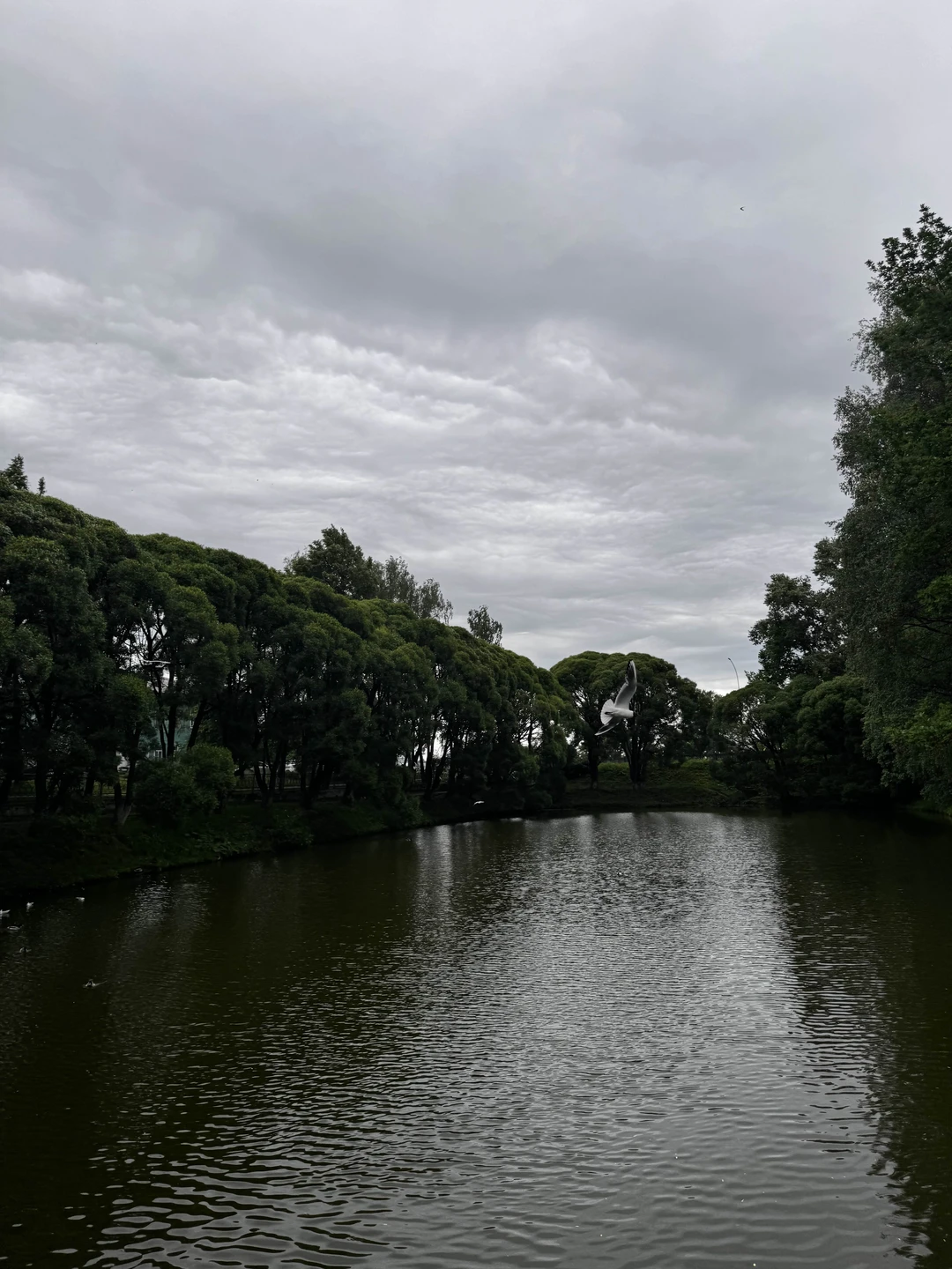 Все отлично, спасибо за экскурсию!