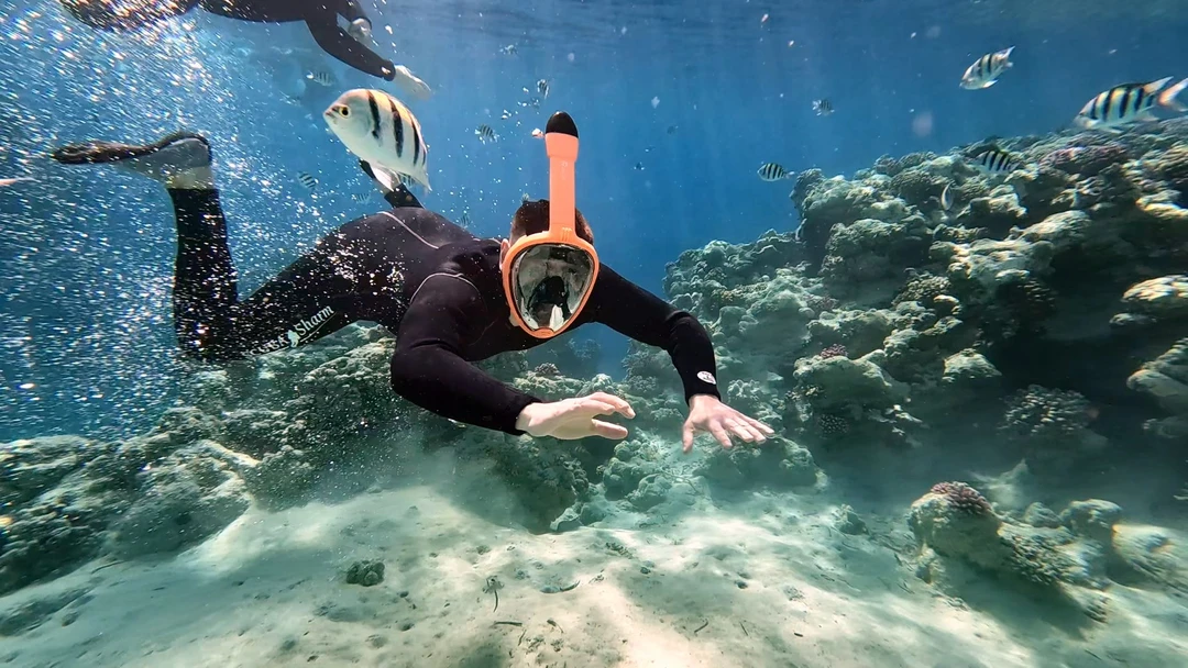 Сегодня посетили данную экскурсию! Мы в полном восторге, красивый подводный мир, очень интересный заповедник. Все красиво и необычно!