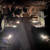 Фото отзыва 1: экскурсия "Шопинг с коньяком: звезды Арарата"
