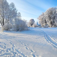Фото отзыва 2: экскурсия "Из Новгорода до Юрьева монастыря — на санях снегохода!"