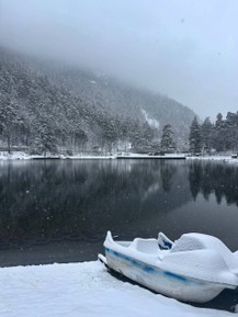 Фото отзыва 1: экскурсия "Домбай — место силы. Путешествие в мини-группе"