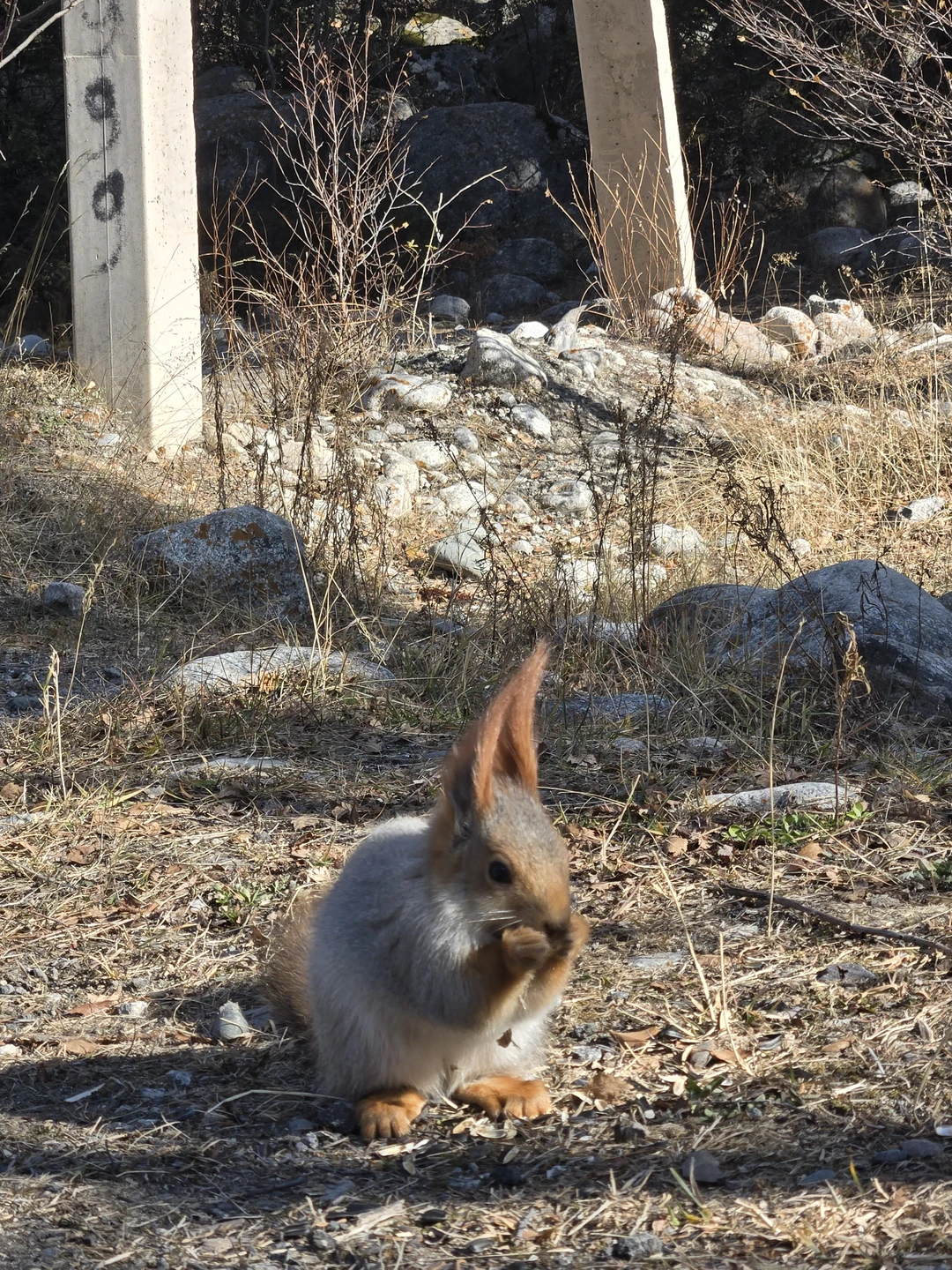 Всё прошло отлично, доверились Артёму и не прогадали. Получили удовольствие от поездки и новых для нас локаций!!!