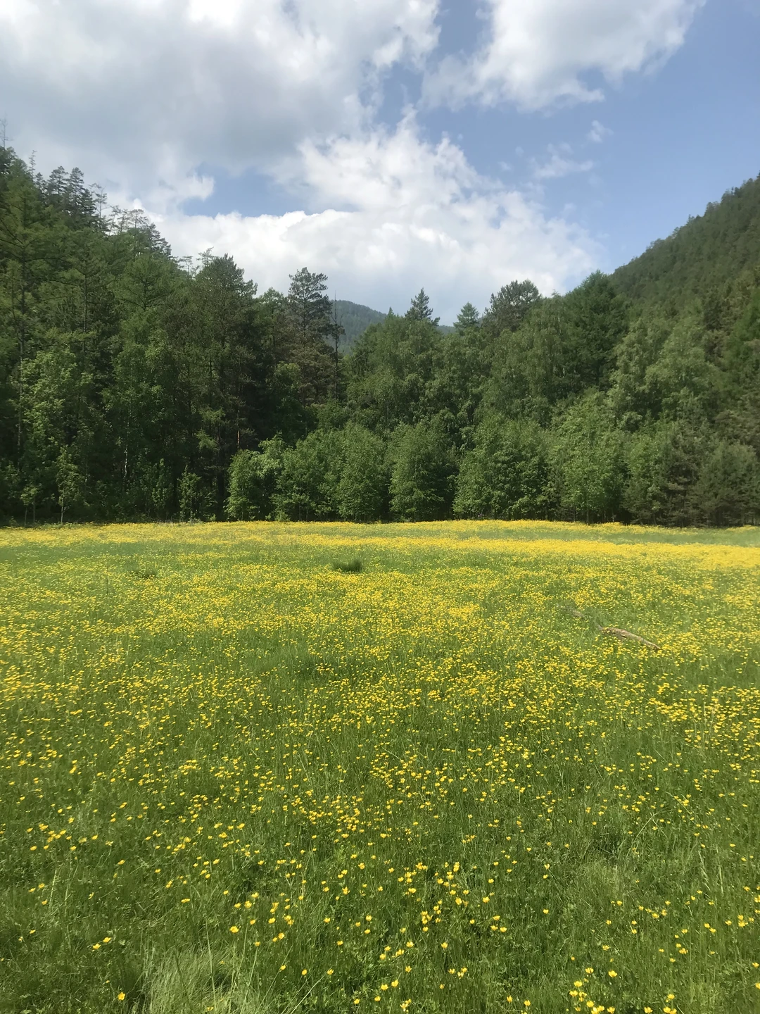 Добрый день друзья!! ☀️😊 Были потрясающие выходные на Байкале в Большом Голоустном👍🏻🥰