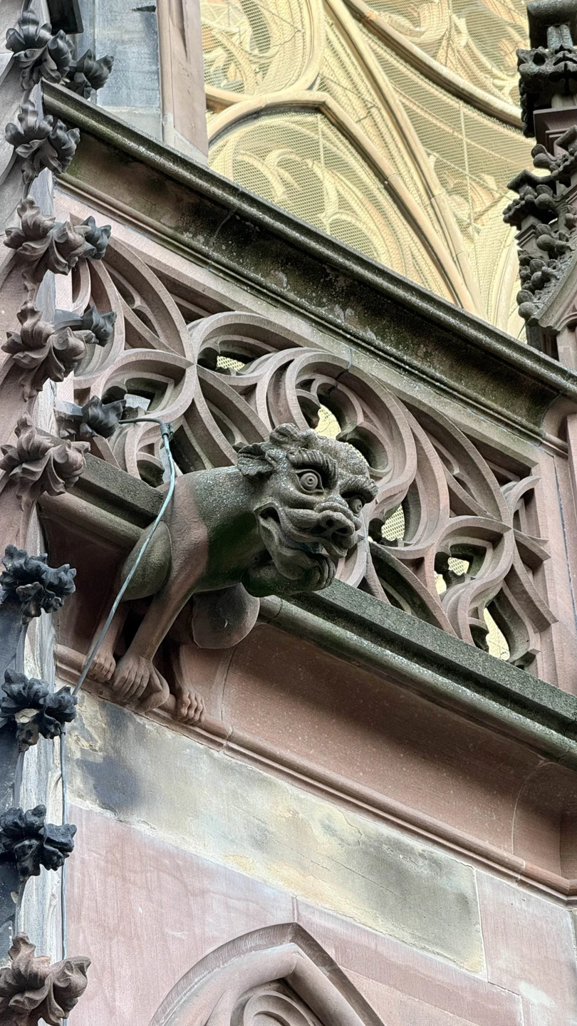 Очаровательный Страсбург в сопровождении очаровательной Марины раскрыл все свои тайны и сокровища. Легко и незаметно пролетели