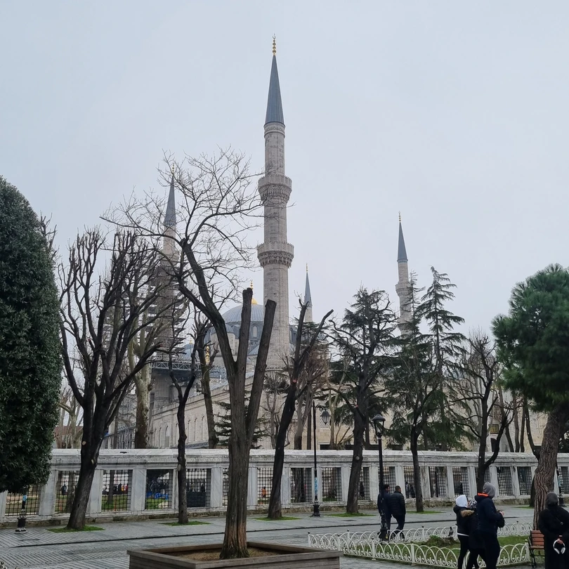 Спасибо огромное Алене, несмотря на погоду, отлично провели день!! все наши пожелания были учтены, и прямо