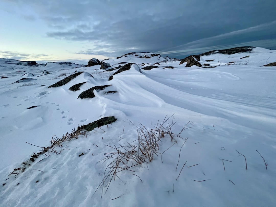 Та самая экскурсия, что превосходит все ожидания! В первую очередь, благодаря гиду Юрию! С момента оформления